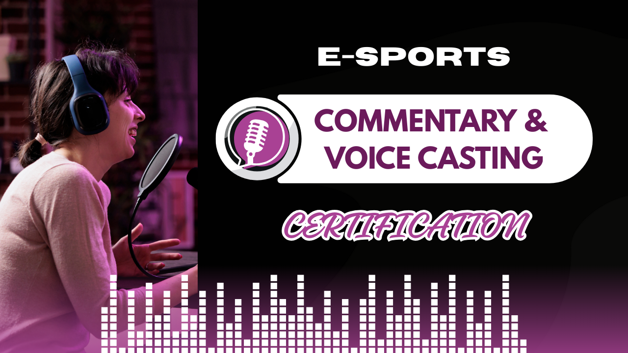 Professional Esports Game Commentary & Voice Casting